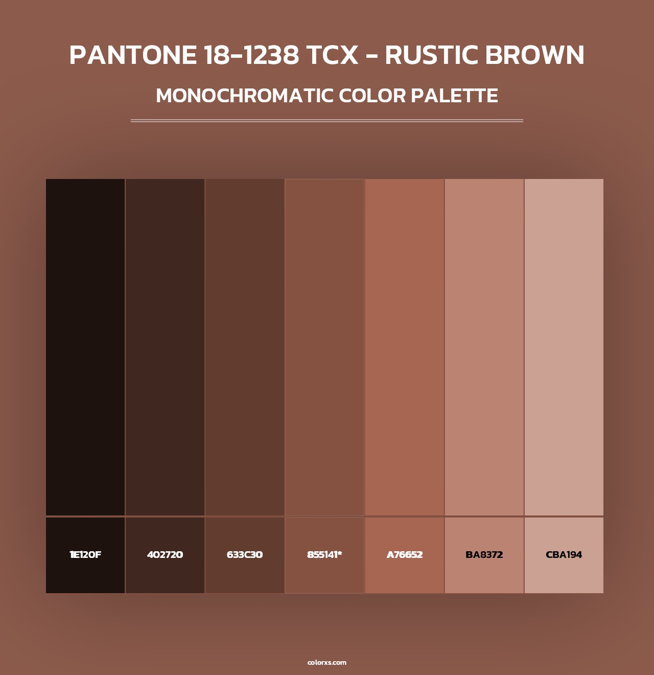 PANTONE 18-1238 TCX - Rustic Brown - Monochromatic Color Palette