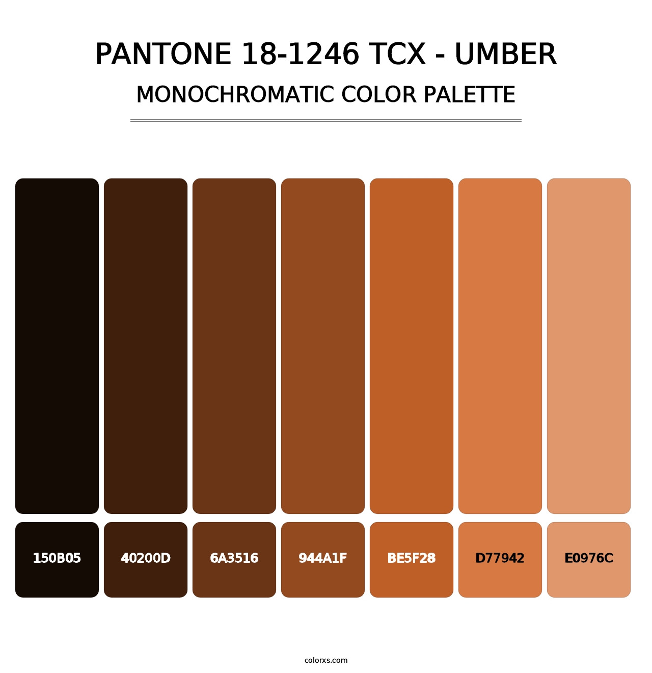 PANTONE 18-1246 TCX - Umber - Monochromatic Color Palette