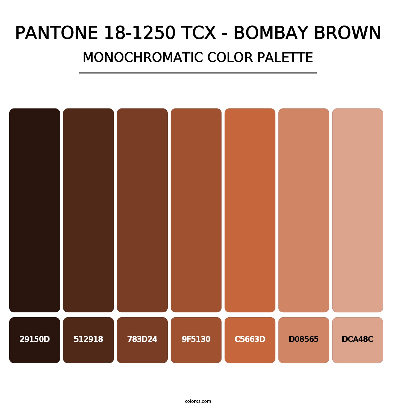 PANTONE 18-1250 TCX - Bombay Brown - Monochromatic Color Palette