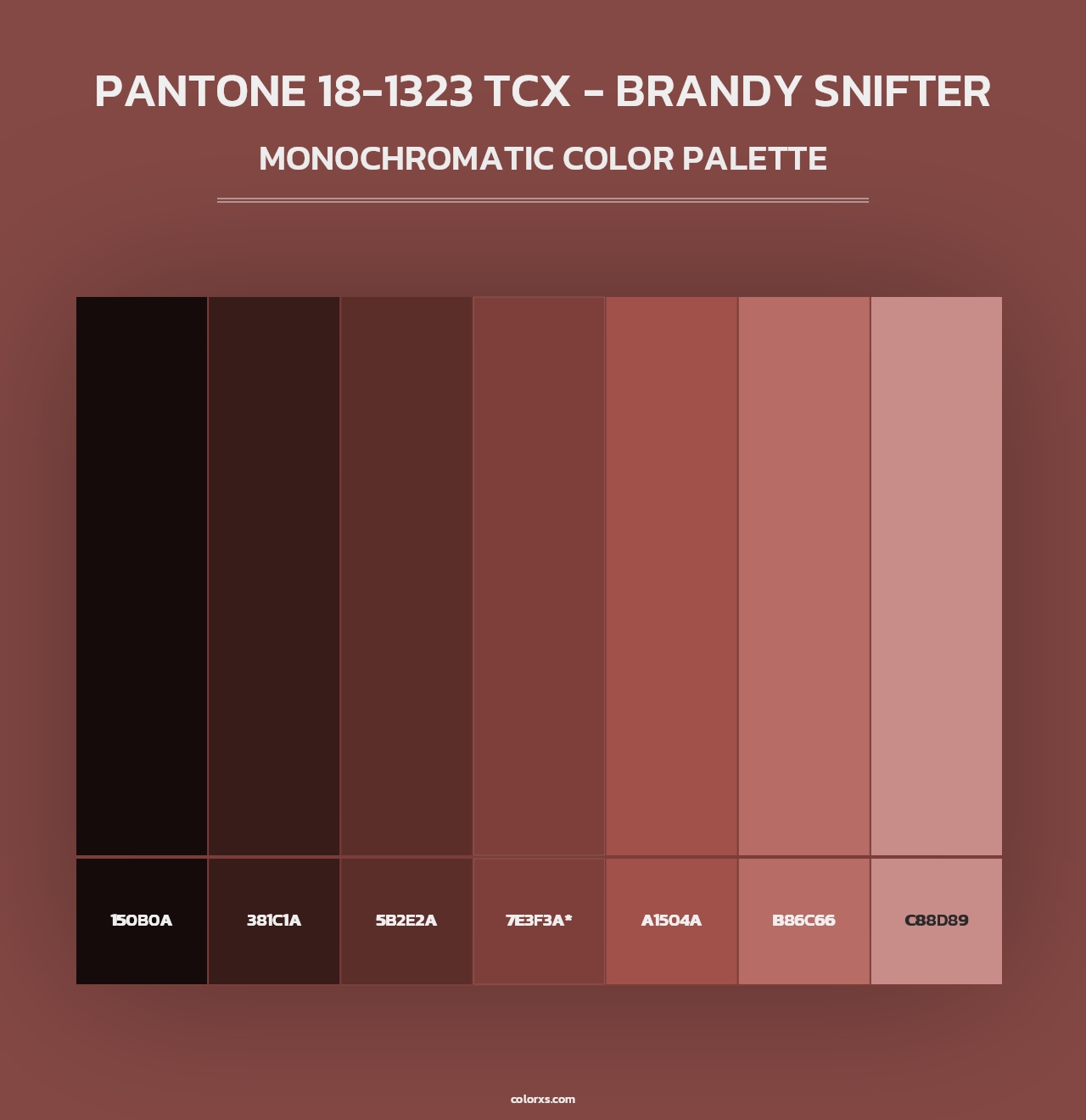 PANTONE 18-1323 TCX - Brandy Snifter - Monochromatic Color Palette
