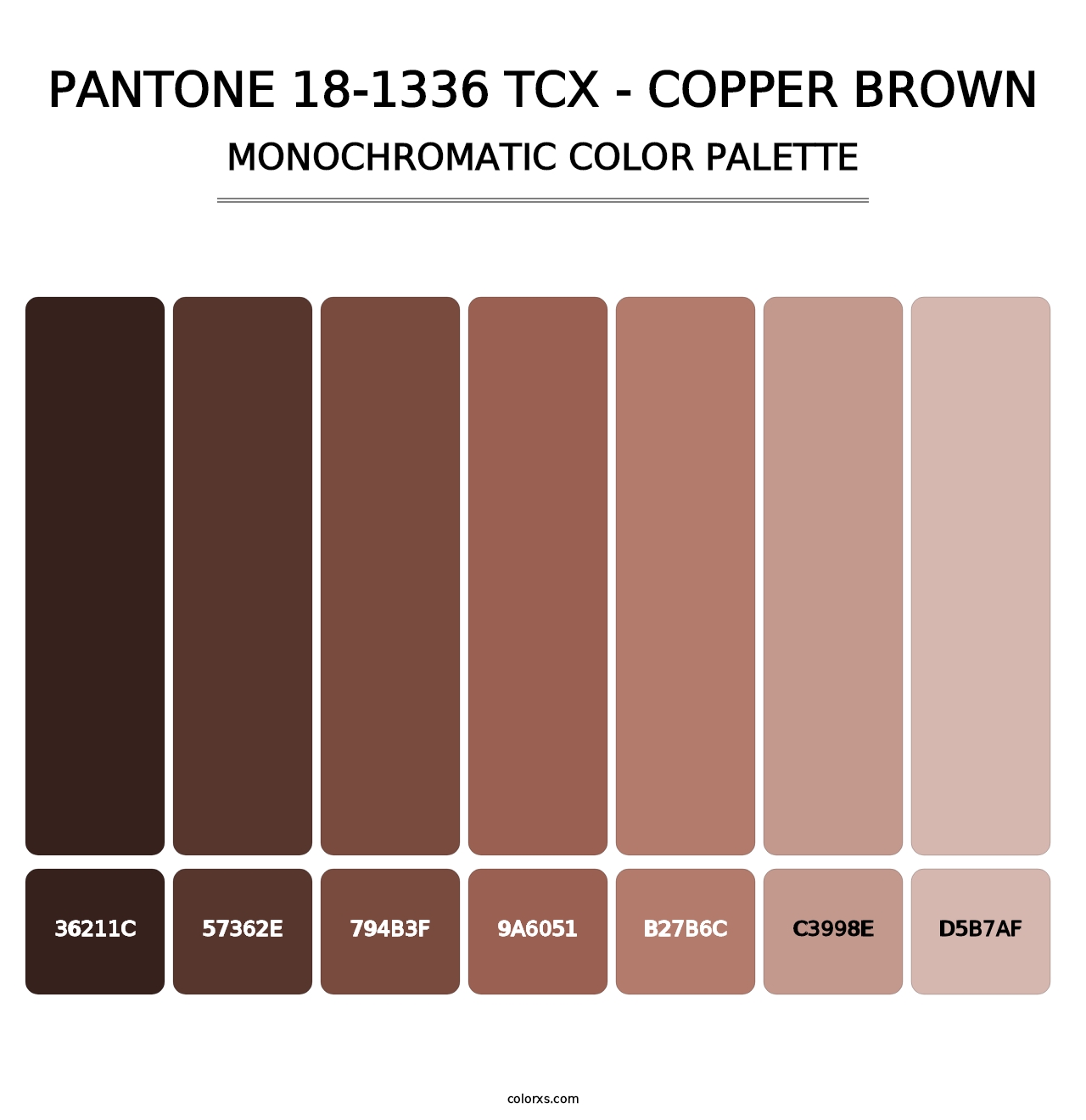 PANTONE 18-1336 TCX - Copper Brown - Monochromatic Color Palette