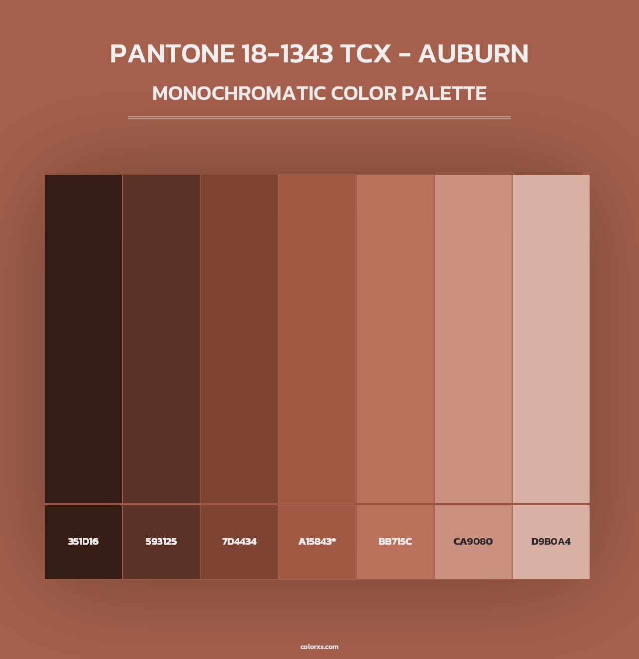 PANTONE 18-1343 TCX - Auburn - Monochromatic Color Palette