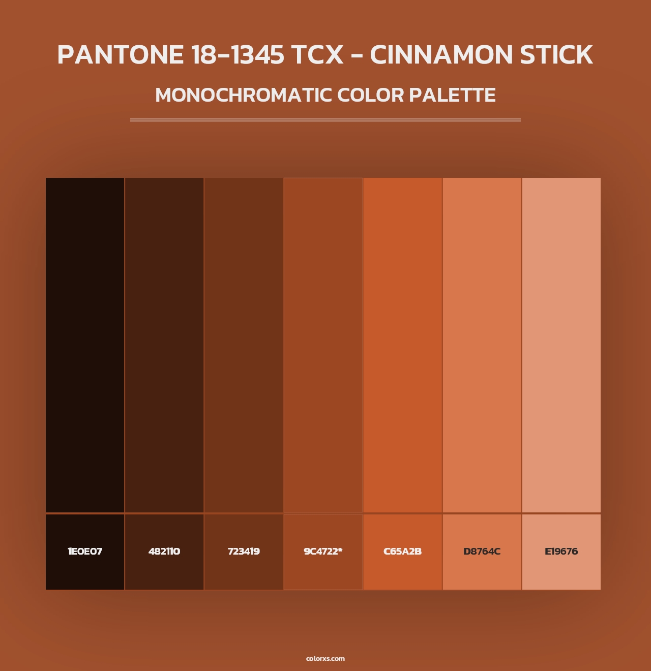 PANTONE 18-1345 TCX - Cinnamon Stick - Monochromatic Color Palette