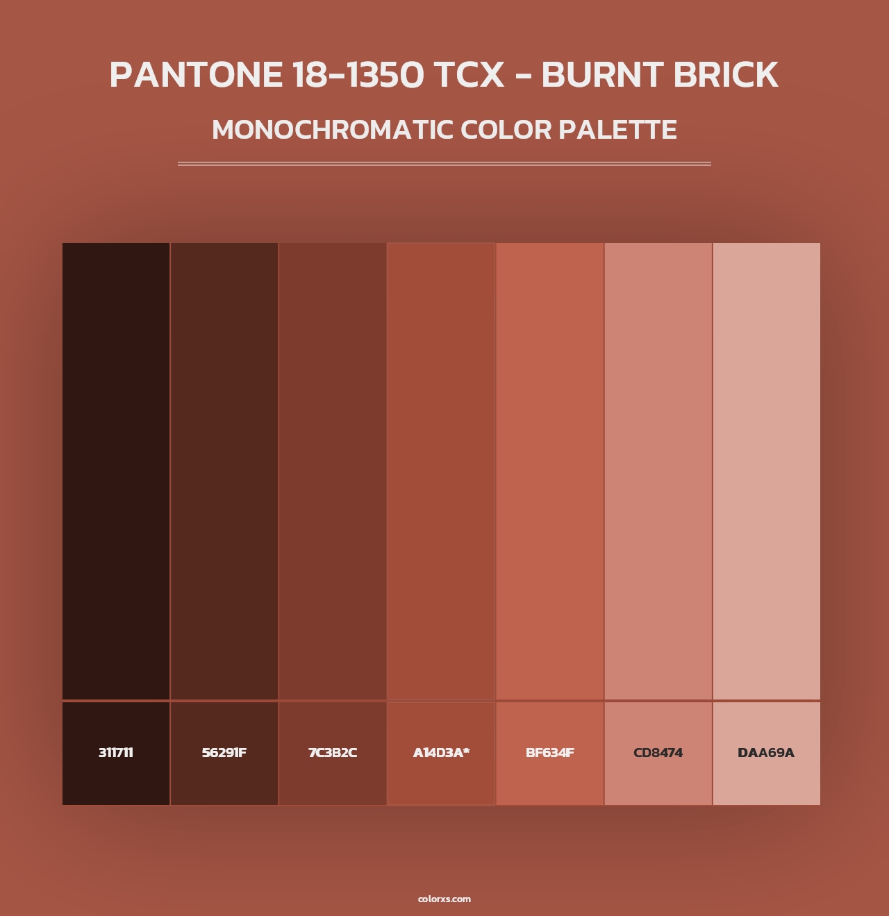 PANTONE 18-1350 TCX - Burnt Brick - Monochromatic Color Palette