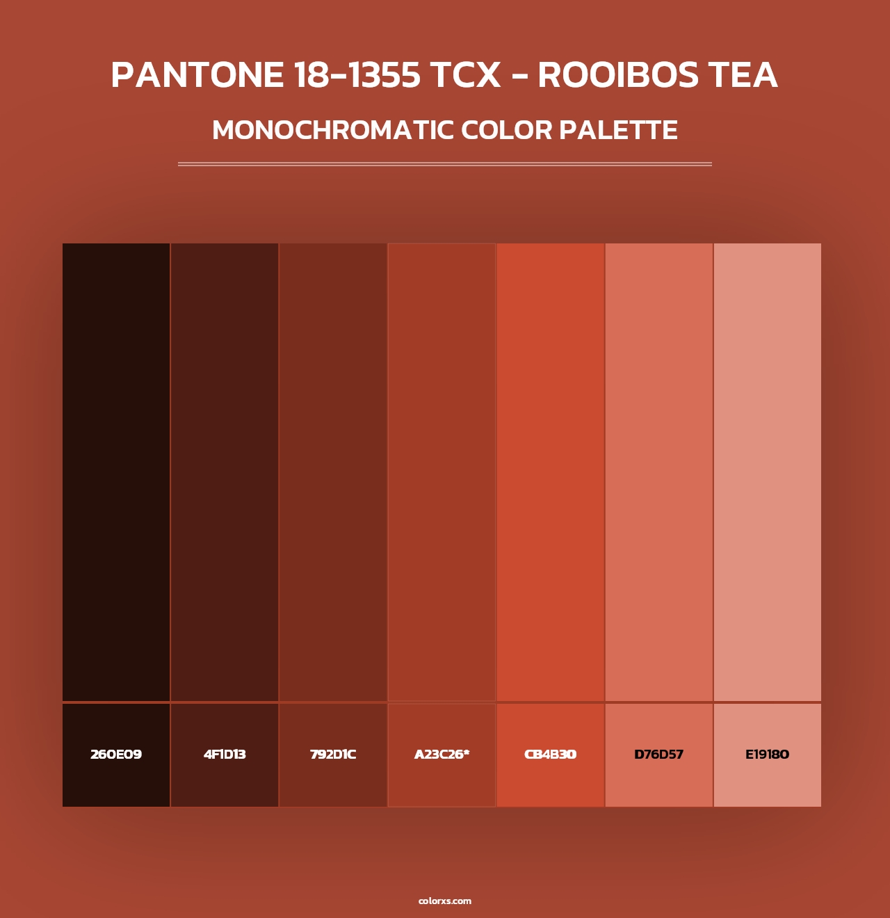 PANTONE 181355 TCX Rooibos Tea color palettes