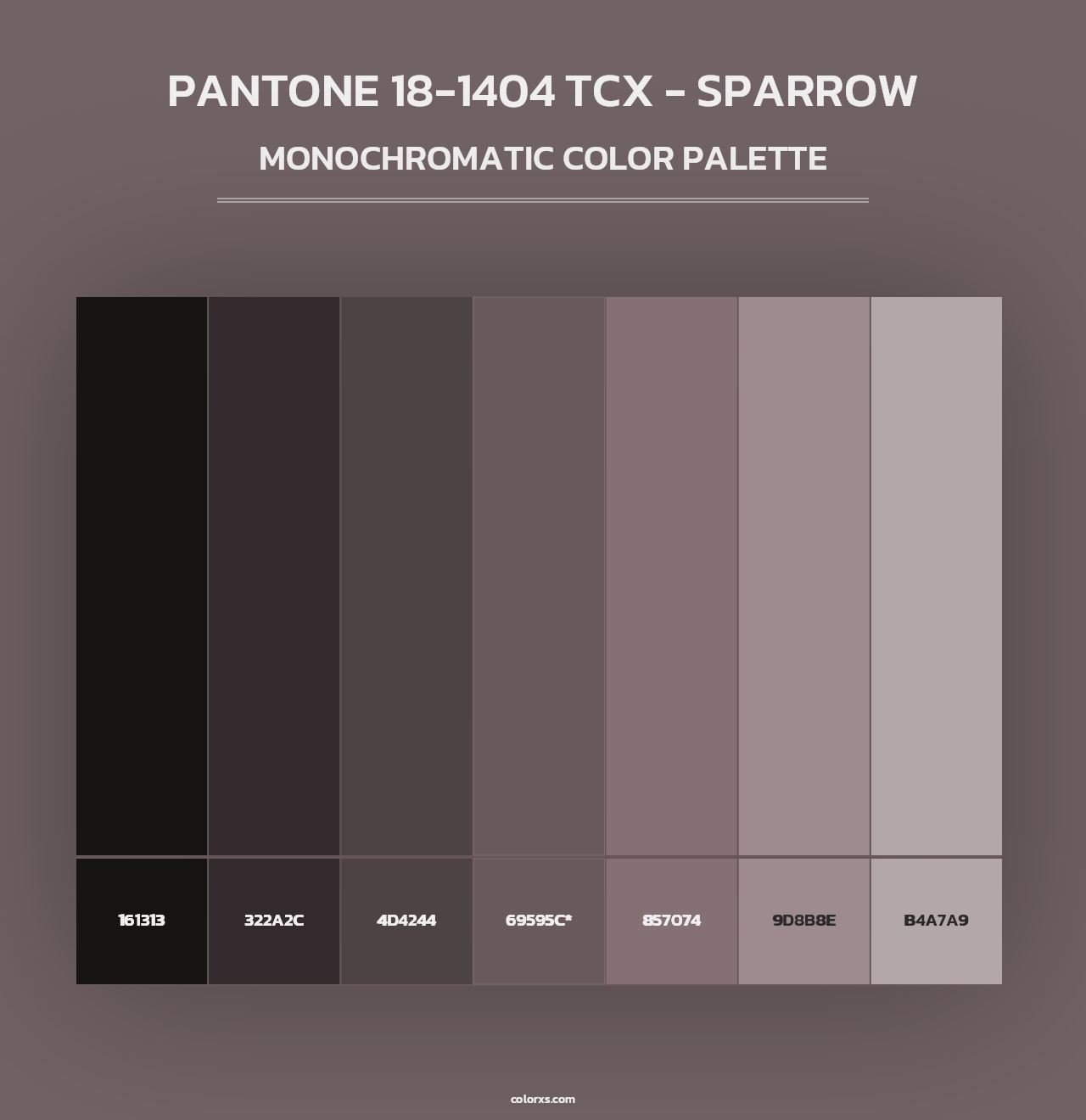 PANTONE 18-1404 TCX - Sparrow - Monochromatic Color Palette