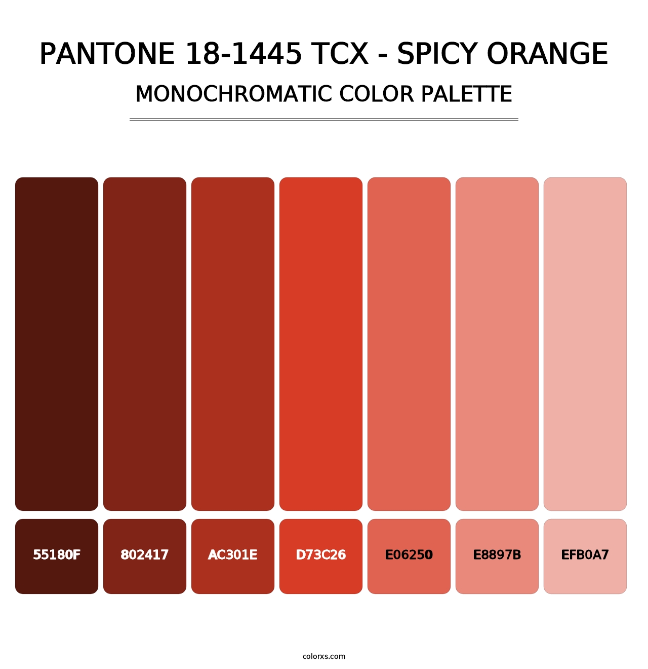 PANTONE 18-1445 TCX - Spicy Orange - Monochromatic Color Palette