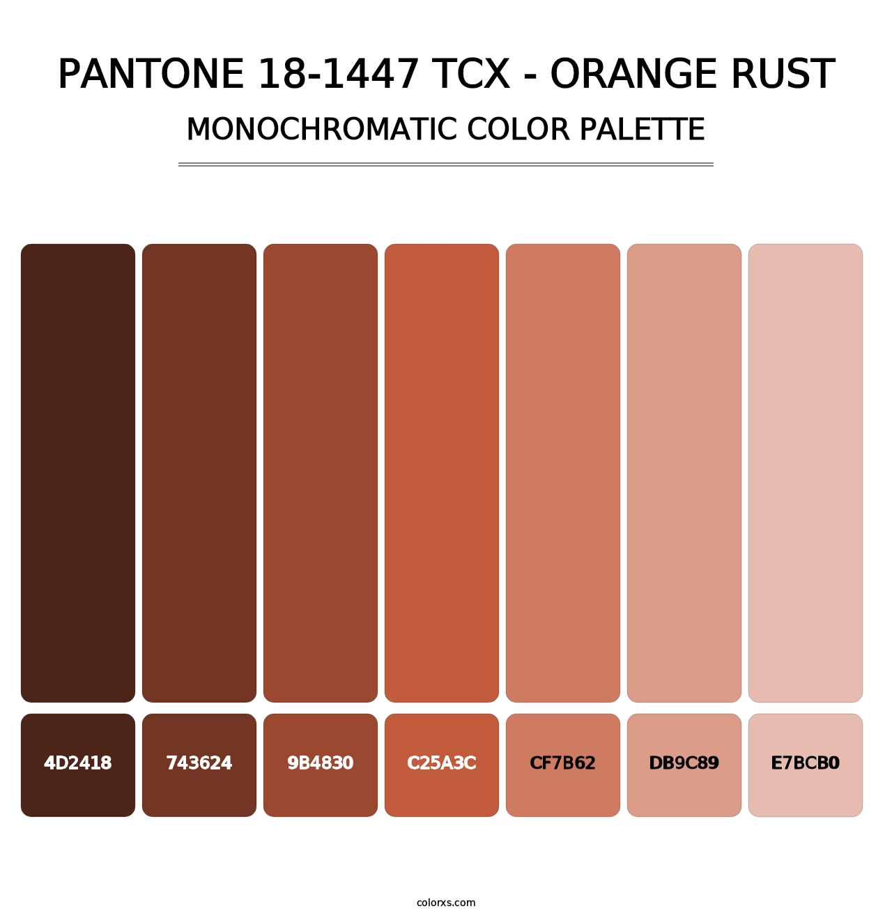 PANTONE 18-1447 TCX - Orange Rust - Monochromatic Color Palette