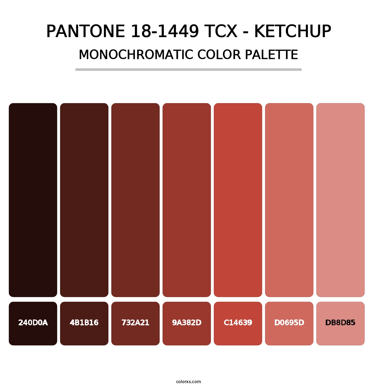 PANTONE 18-1449 TCX - Ketchup - Monochromatic Color Palette