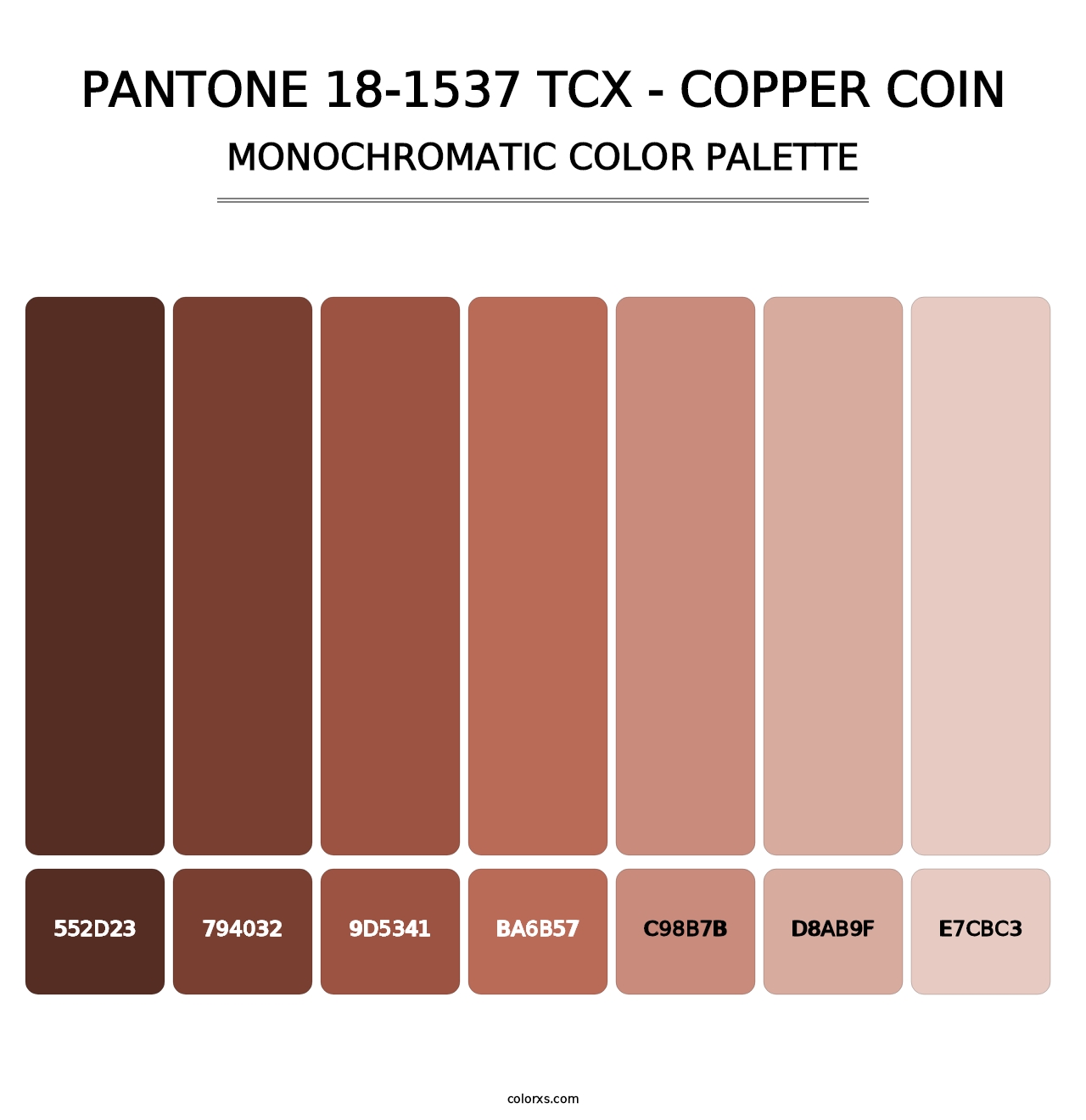PANTONE 18-1537 TCX - Copper Coin - Monochromatic Color Palette