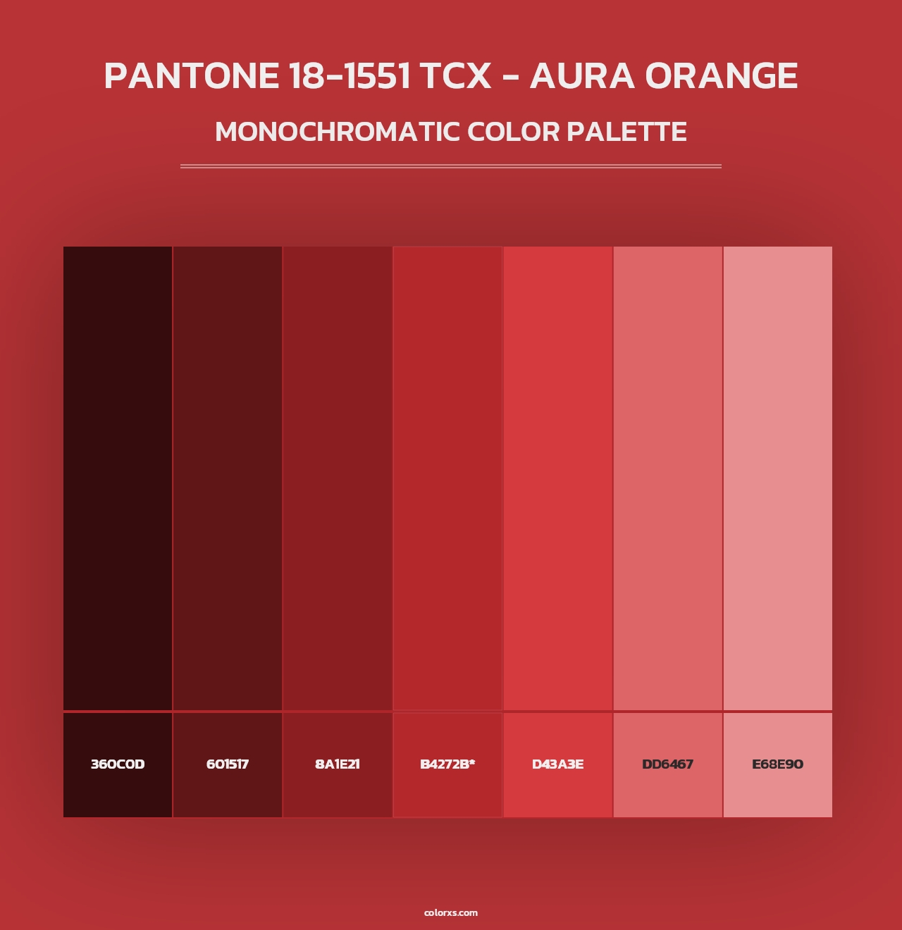 PANTONE 18-1551 TCX - Aura Orange - Monochromatic Color Palette