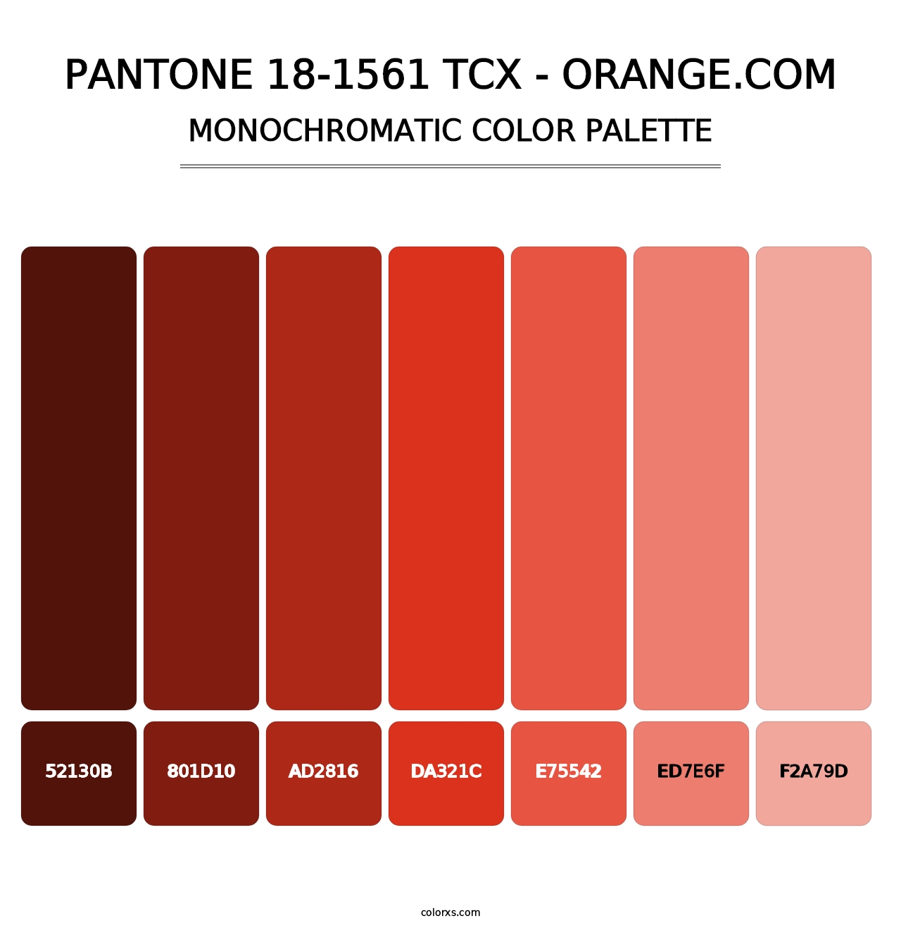 PANTONE 18-1561 TCX - Orange.com - Monochromatic Color Palette
