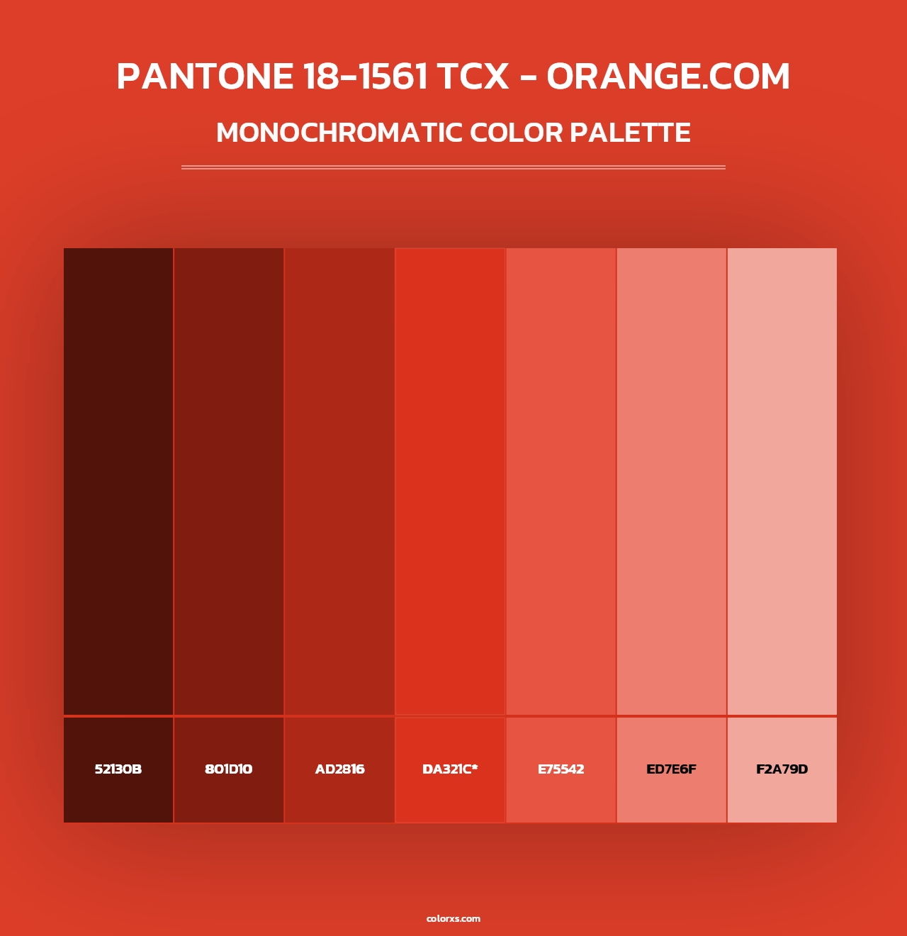 PANTONE 18-1561 TCX - Orange.com - Monochromatic Color Palette