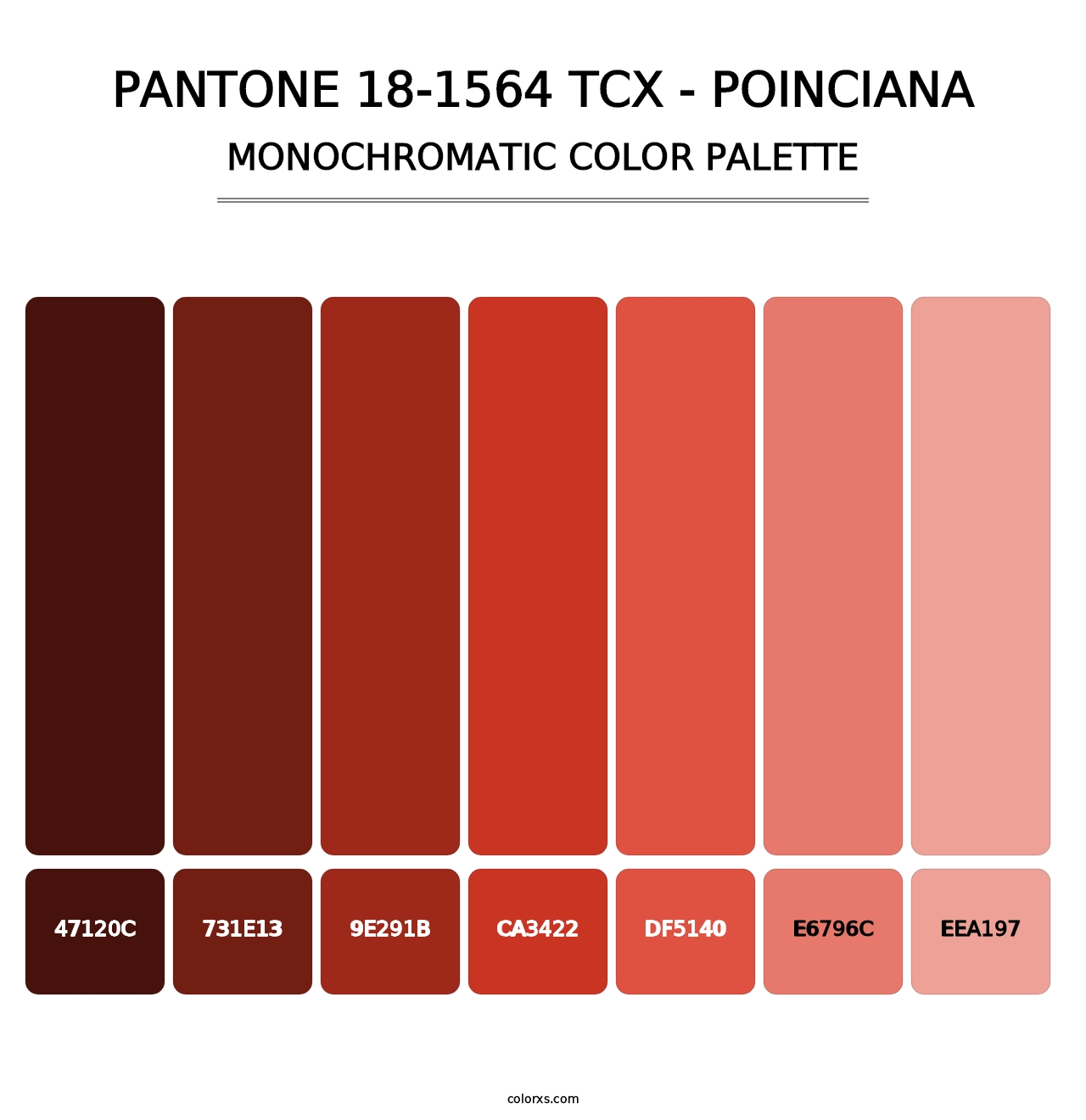 PANTONE 18-1564 TCX - Poinciana - Monochromatic Color Palette