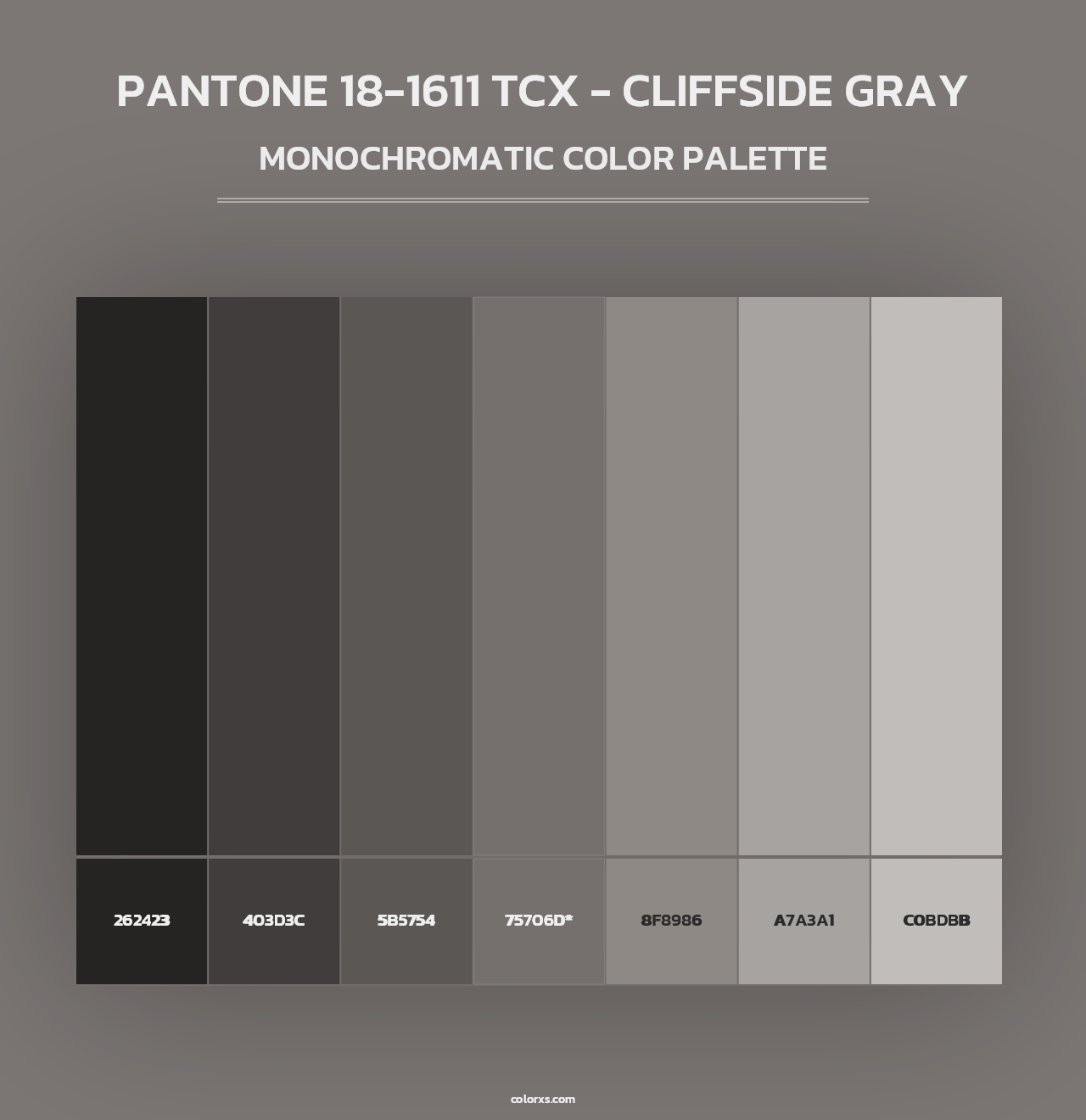 PANTONE 18-1611 TCX - Cliffside Gray - Monochromatic Color Palette