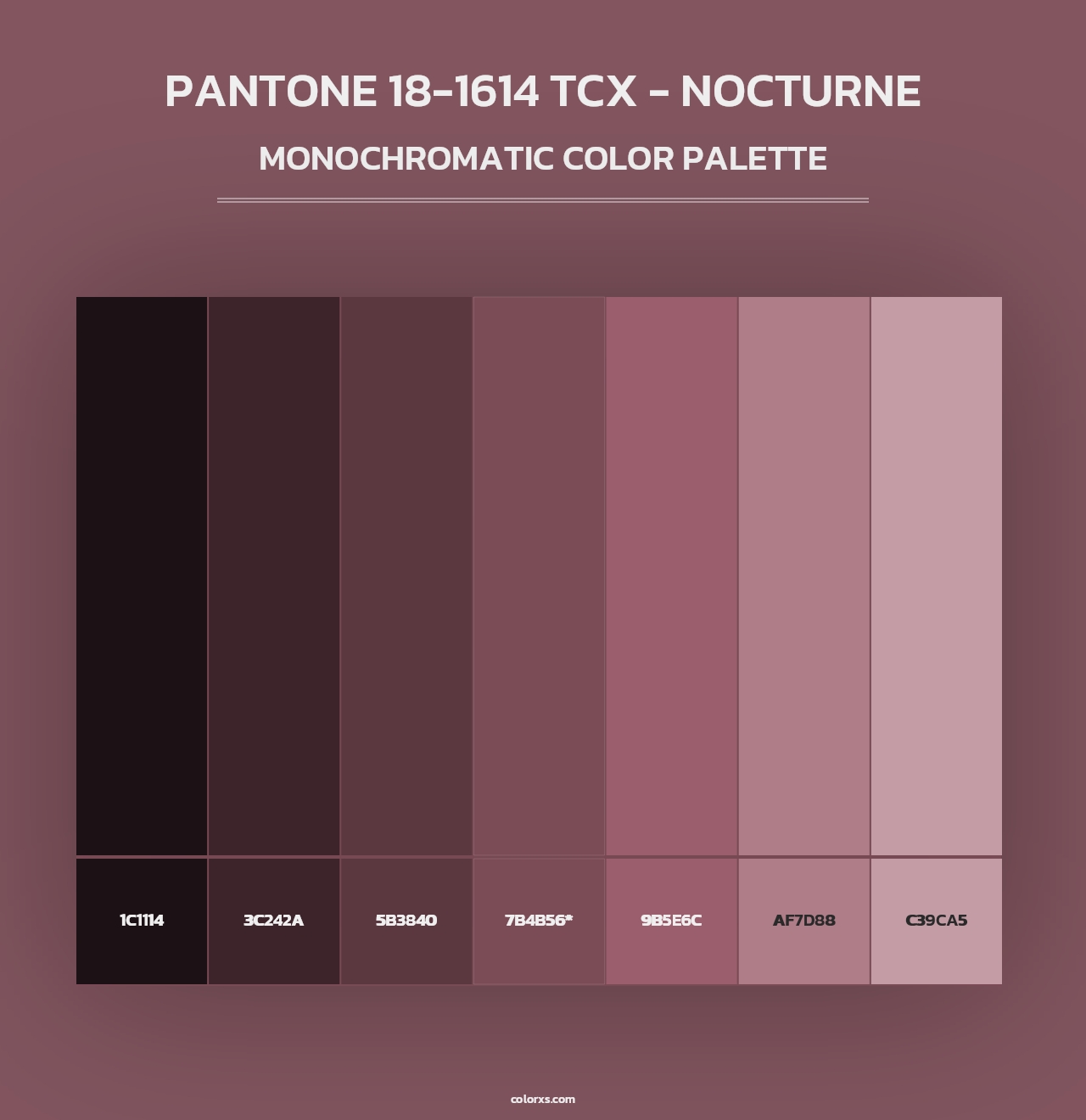 PANTONE 18-1614 TCX - Nocturne - Monochromatic Color Palette