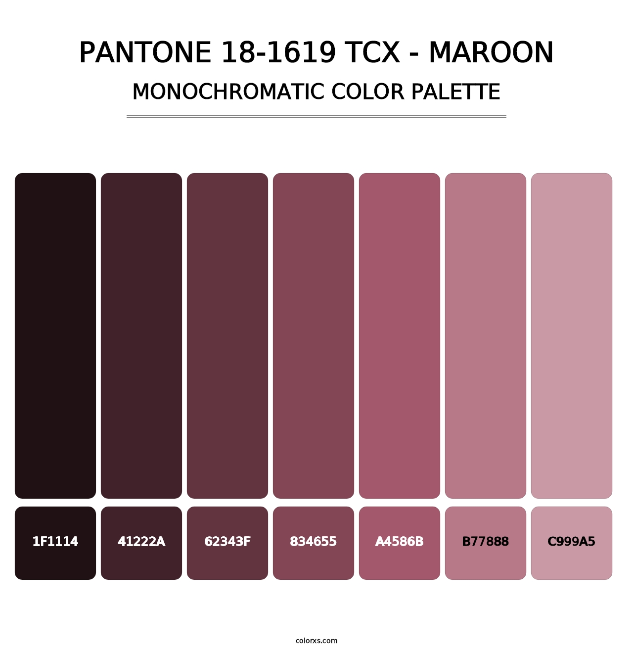 PANTONE 18-1619 TCX - Maroon - Monochromatic Color Palette
