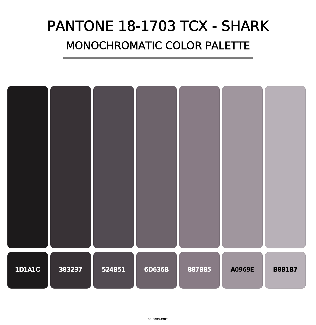 PANTONE 18-1703 TCX - Shark - Monochromatic Color Palette