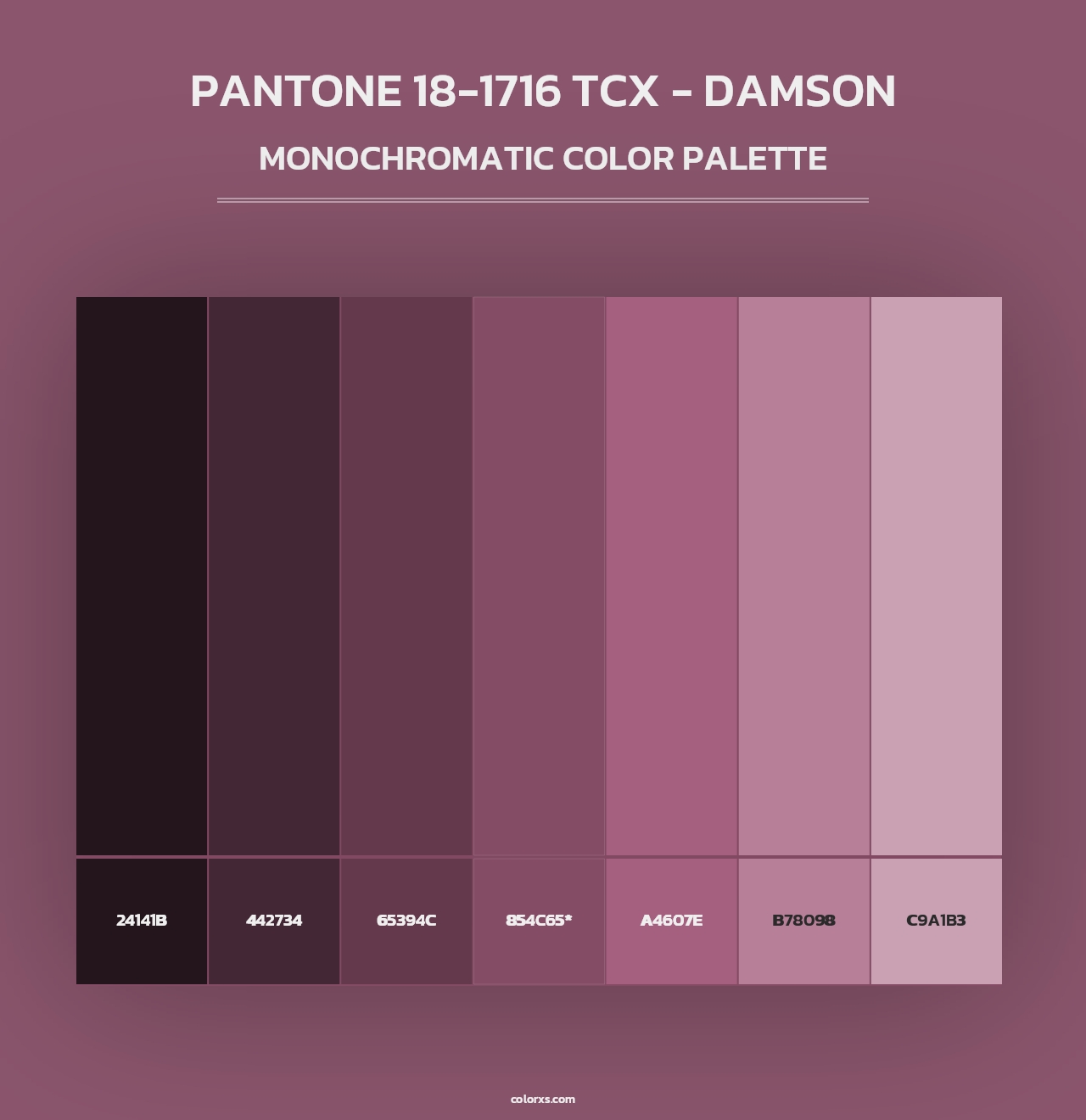 PANTONE 18-1716 TCX - Damson - Monochromatic Color Palette
