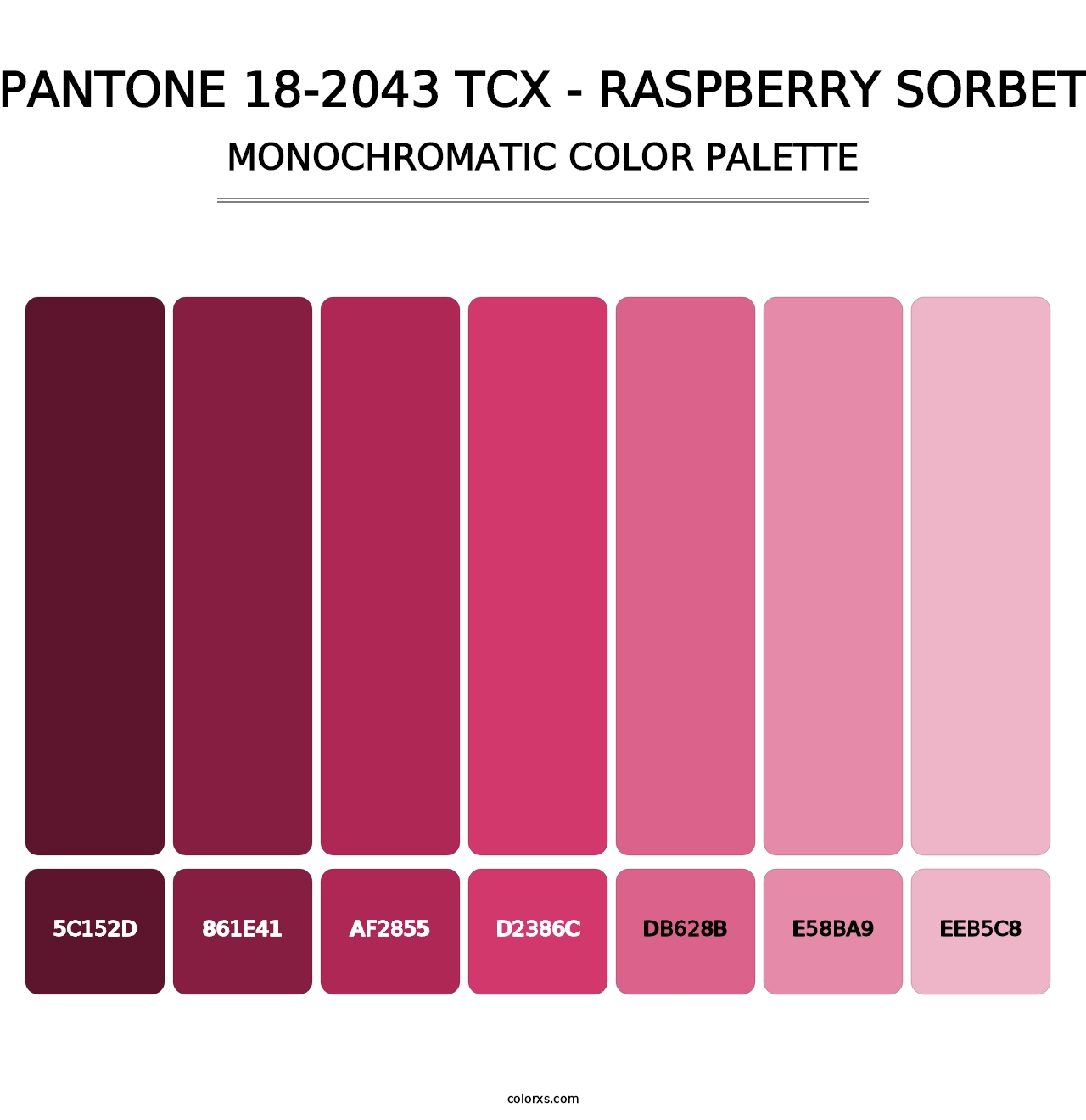 PANTONE 18-2043 TCX - Raspberry Sorbet - Monochromatic Color Palette