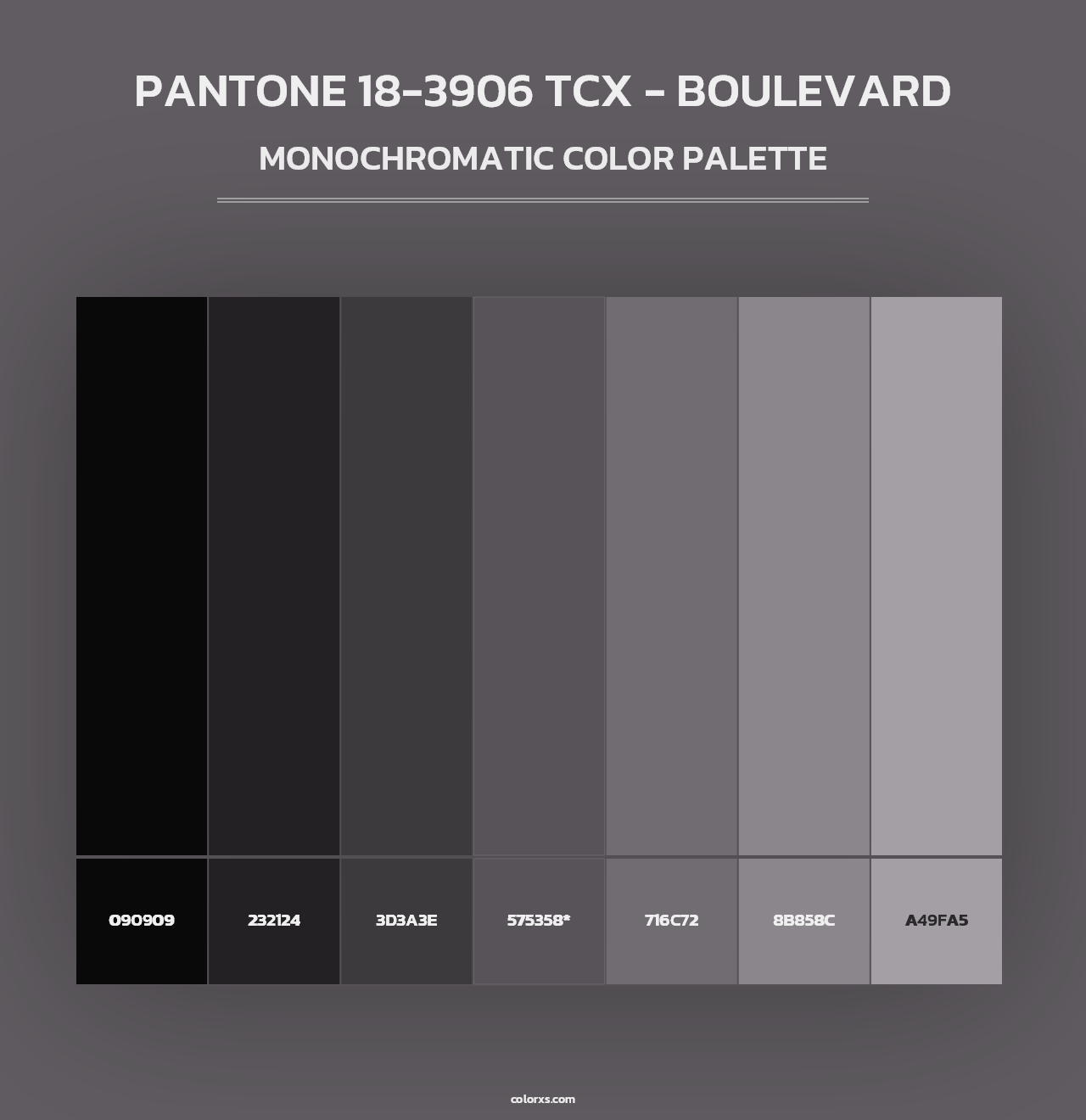 PANTONE 18-3906 TCX - Boulevard - Monochromatic Color Palette
