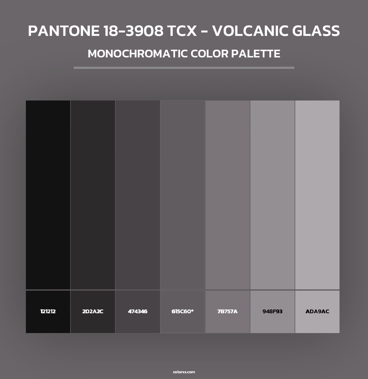 PANTONE 18-3908 TCX - Volcanic Glass - Monochromatic Color Palette