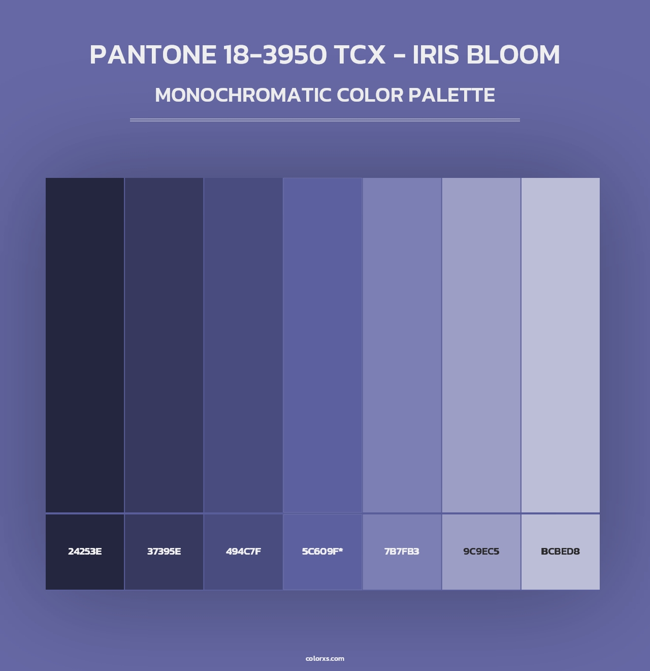 PANTONE 18-3950 TCX - Iris Bloom - Monochromatic Color Palette