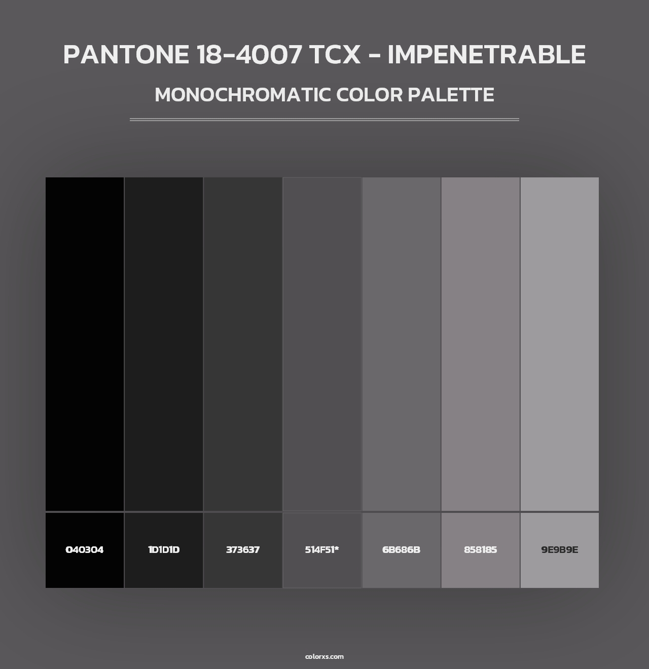 PANTONE 18-4007 TCX - Impenetrable - Monochromatic Color Palette