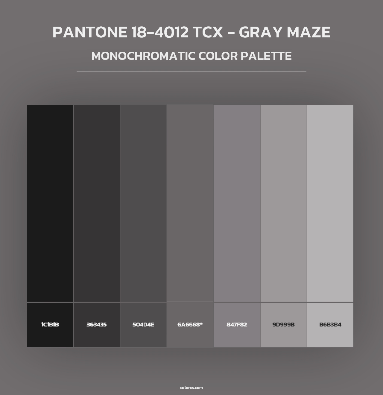 PANTONE 18-4012 TCX - Gray Maze - Monochromatic Color Palette