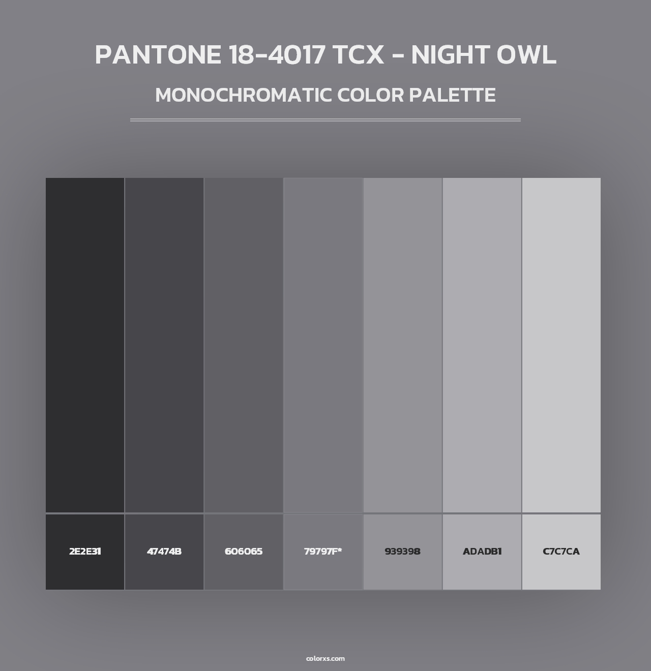 PANTONE 18-4017 TCX - Night Owl - Monochromatic Color Palette
