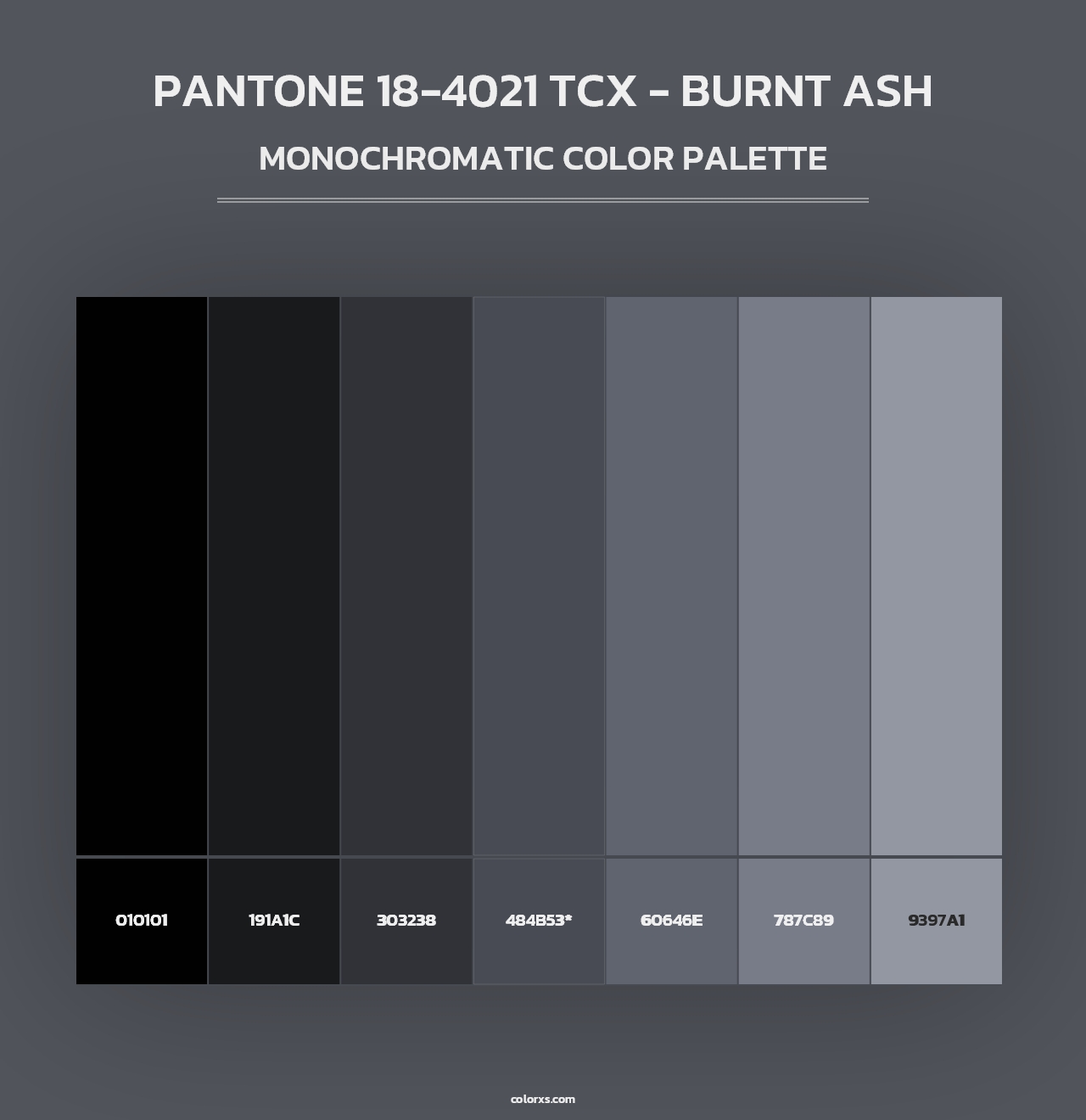 PANTONE 18-4021 TCX - Burnt Ash - Monochromatic Color Palette