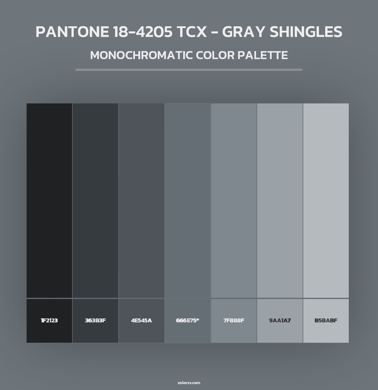 PANTONE 18-4205 TCX - Gray Shingles - Monochromatic Color Palette