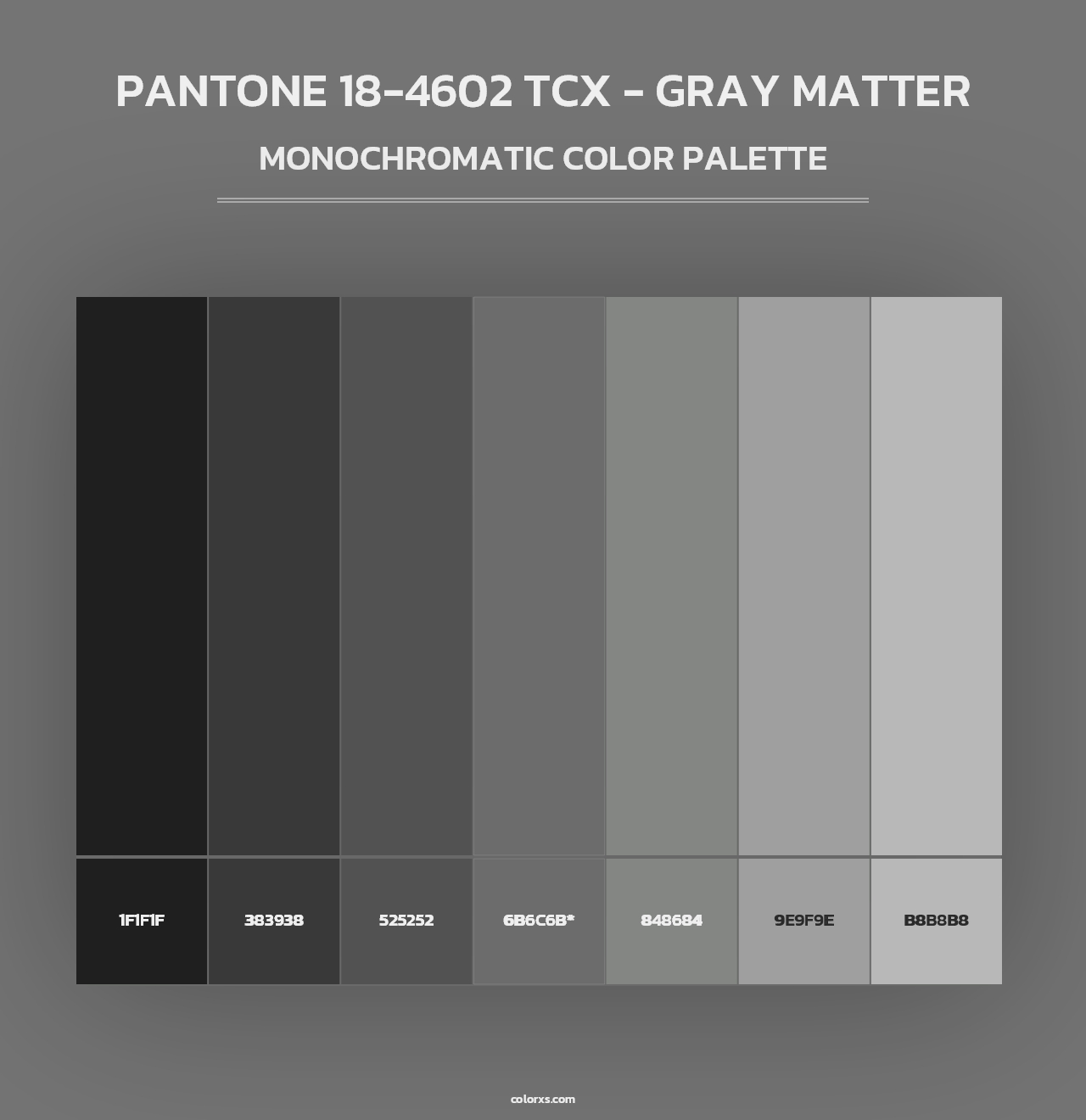 PANTONE 18-4602 TCX - Gray Matter - Monochromatic Color Palette