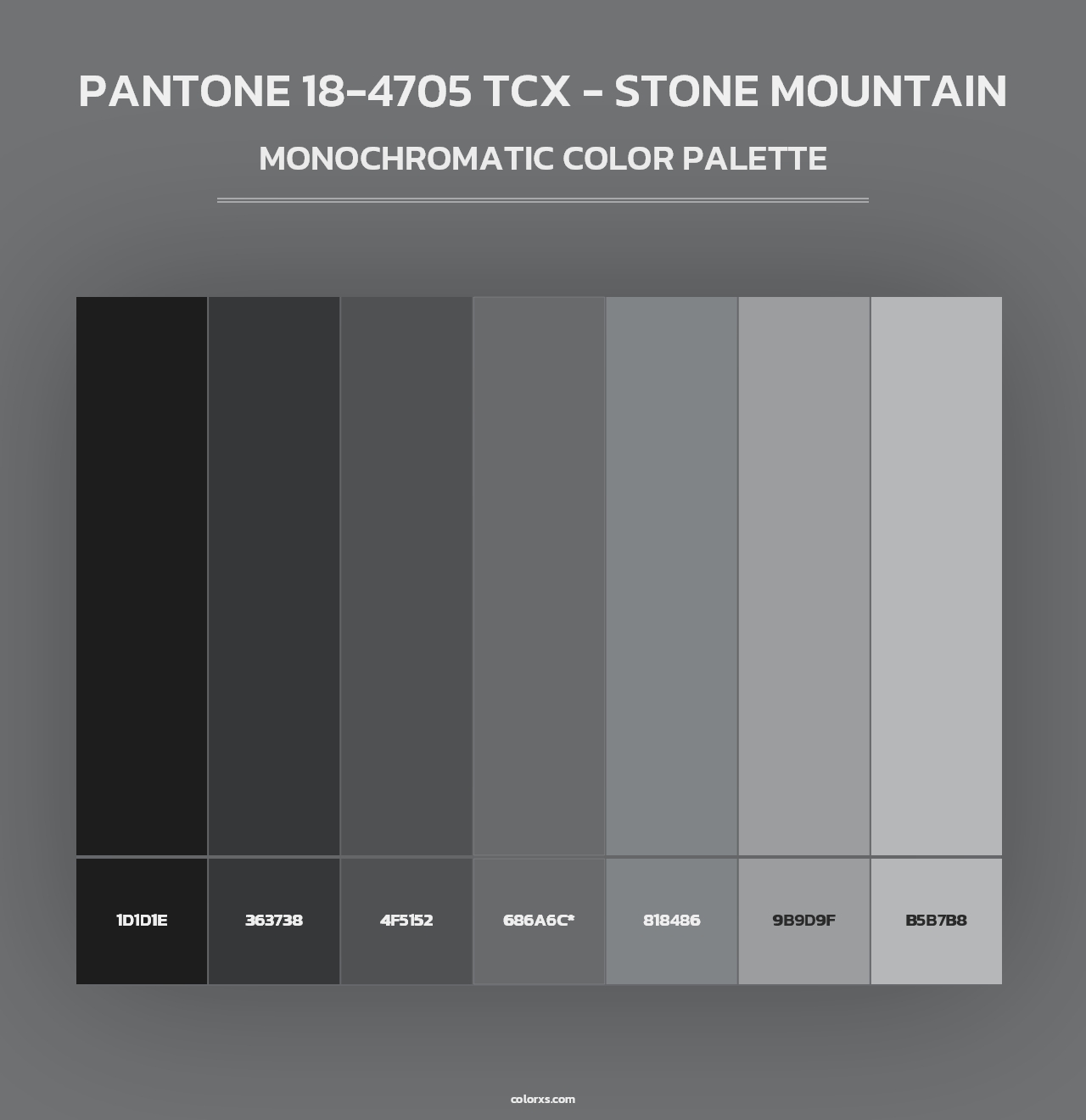 PANTONE 18-4705 TCX - Stone Mountain - Monochromatic Color Palette
