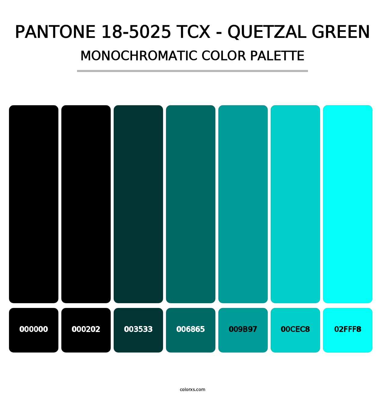 PANTONE 18-5025 TCX - Quetzal Green - Monochromatic Color Palette