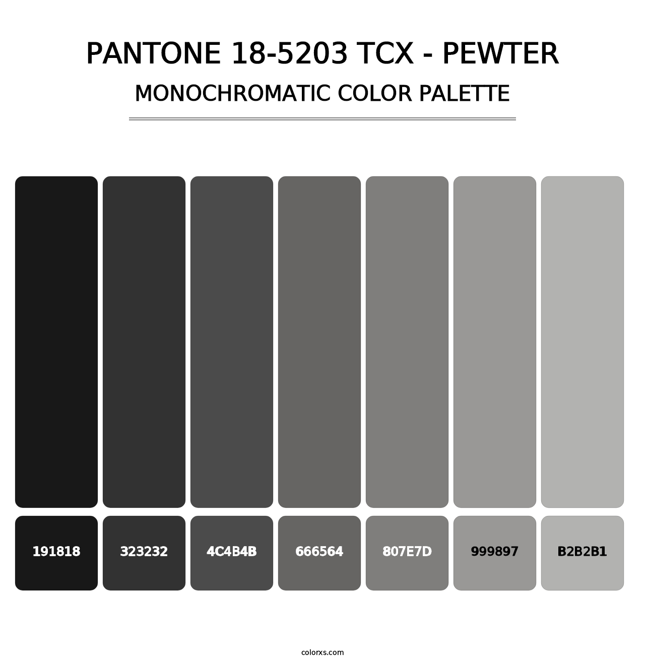 PANTONE 18-5203 TCX - Pewter - Monochromatic Color Palette