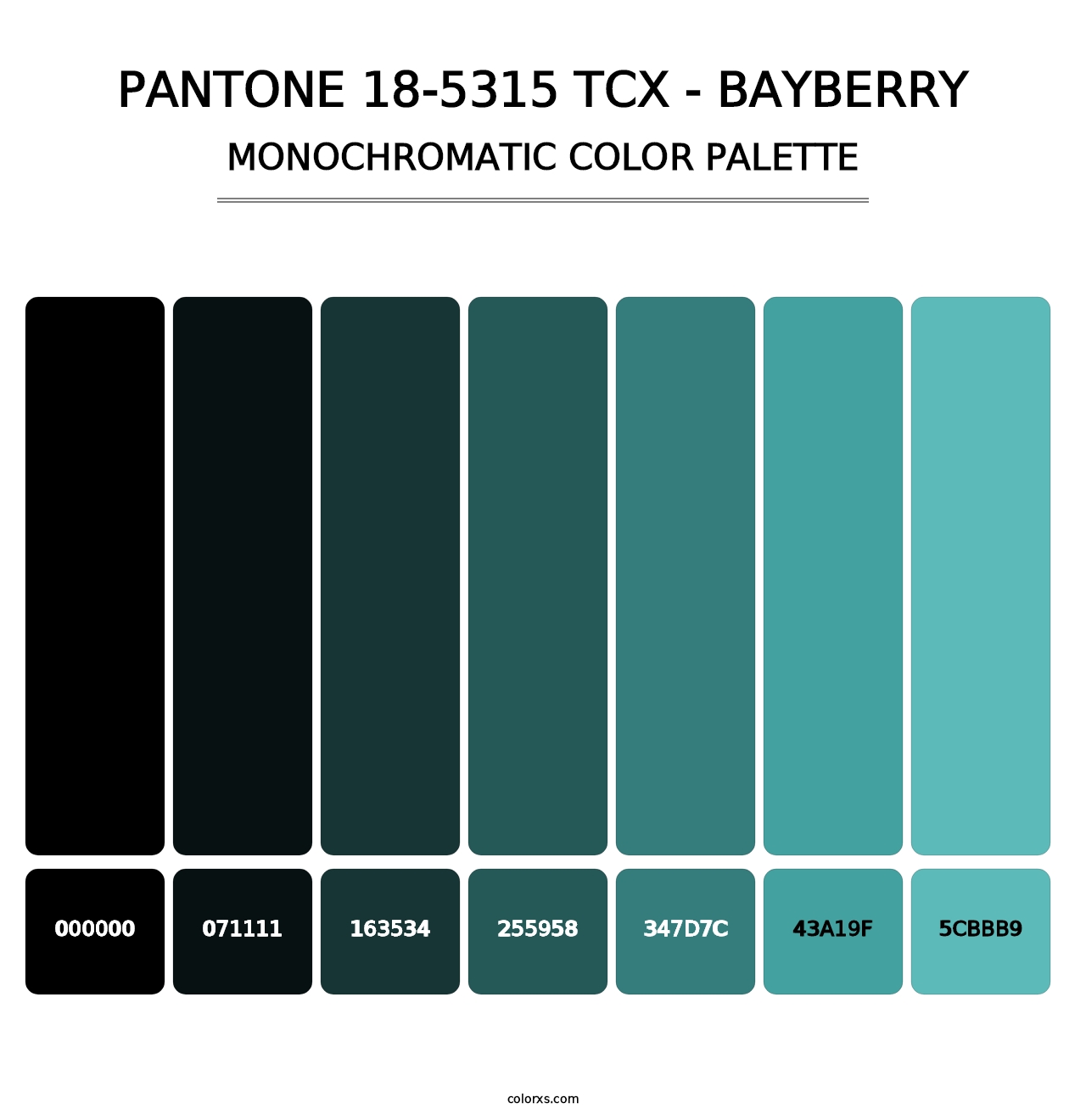 PANTONE 18-5315 TCX - Bayberry - Monochromatic Color Palette