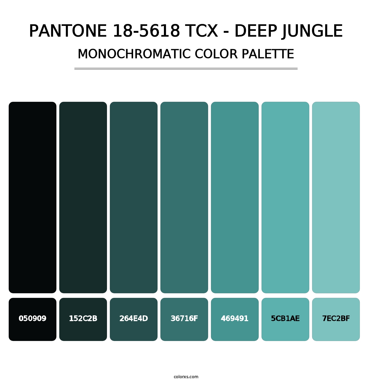 PANTONE 18-5618 TCX - Deep Jungle - Monochromatic Color Palette