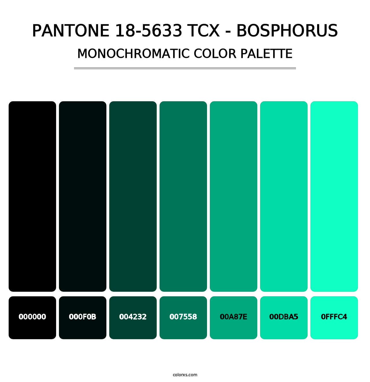 PANTONE 18-5633 TCX - Bosphorus - Monochromatic Color Palette