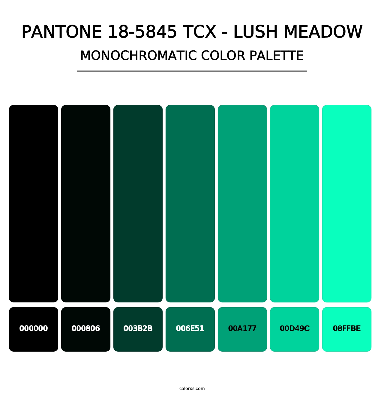 PANTONE 18-5845 TCX - Lush Meadow - Monochromatic Color Palette