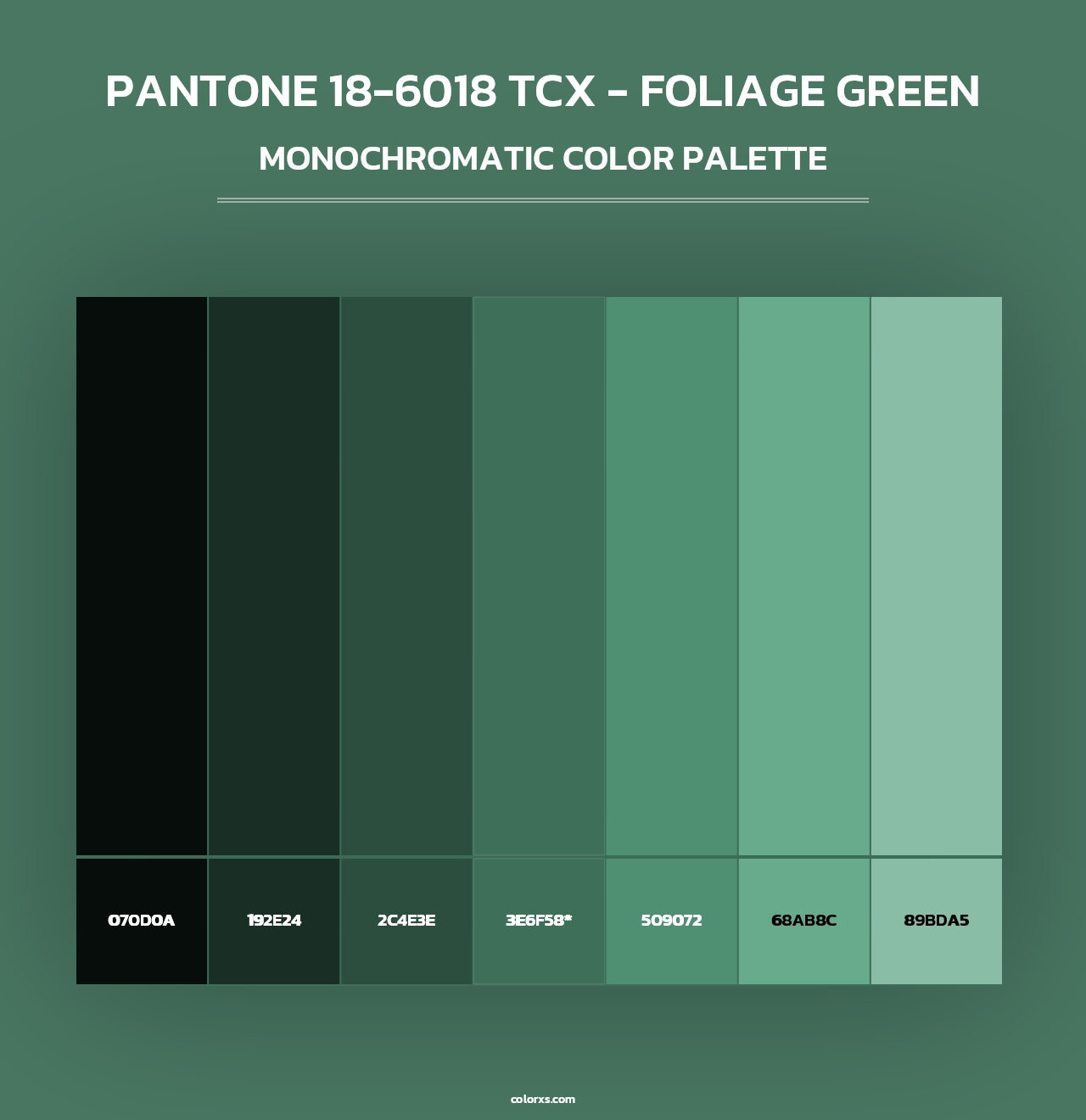 PANTONE 18-6018 TCX - Foliage Green - Monochromatic Color Palette