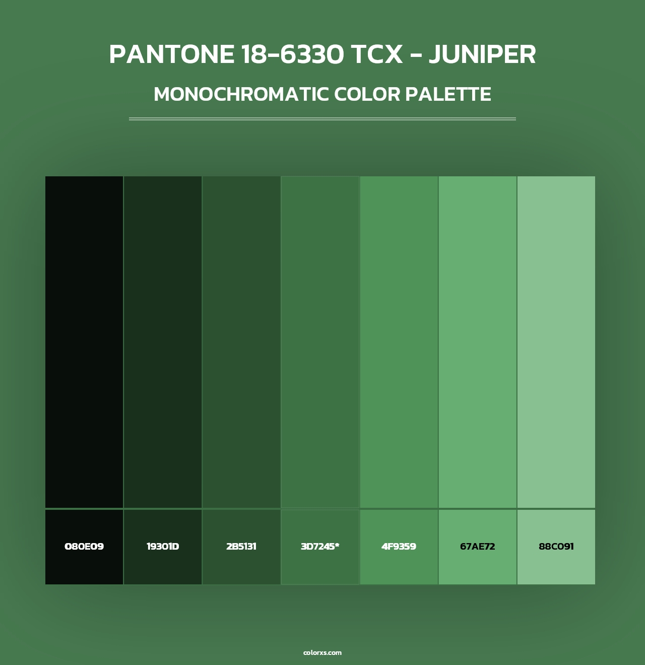 PANTONE 18-6330 TCX - Juniper - Monochromatic Color Palette