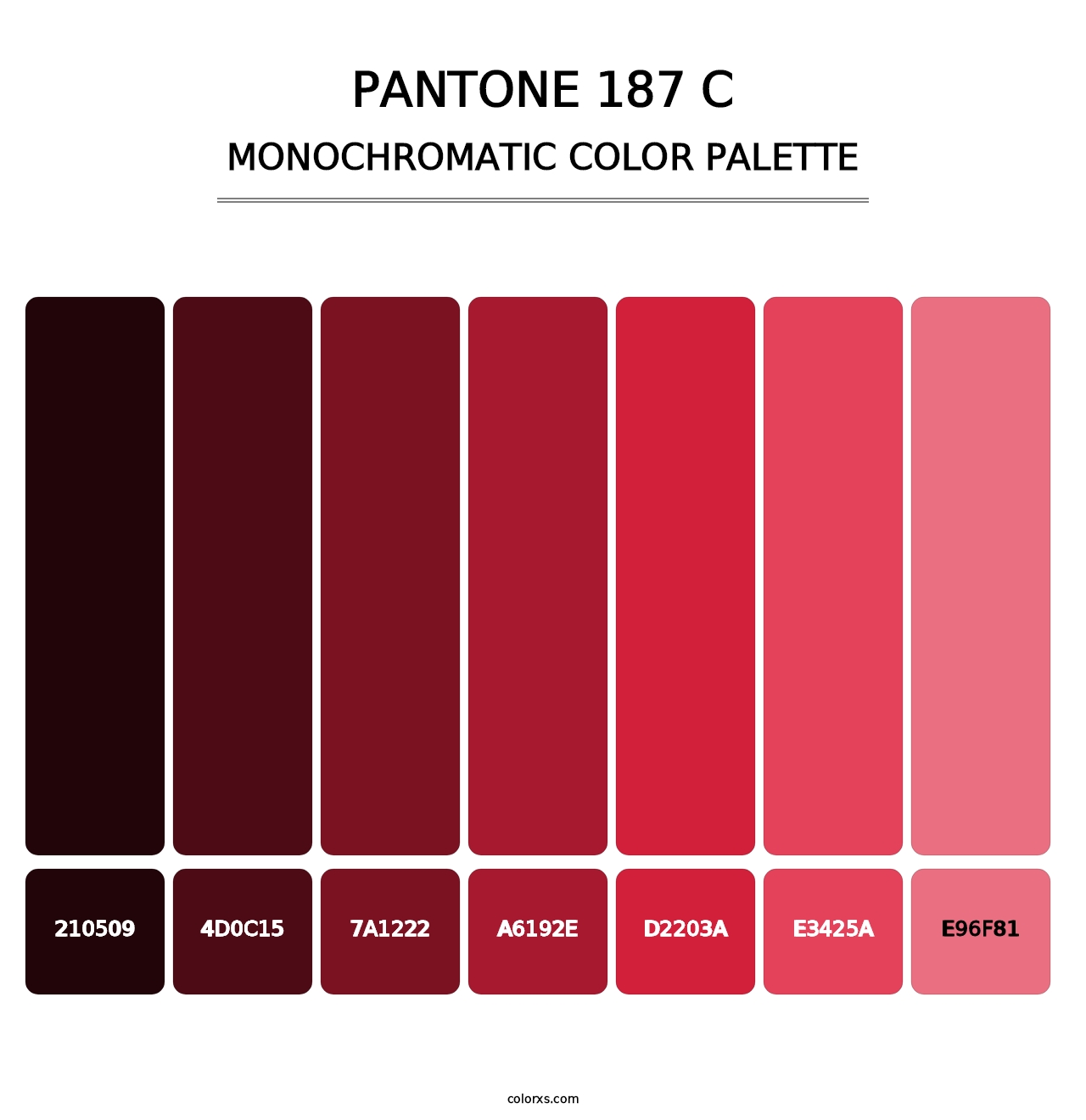 PANTONE 187 C - Monochromatic Color Palette