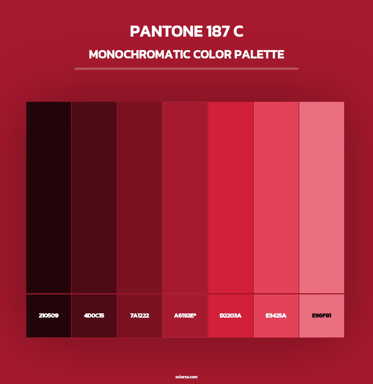 PANTONE 187 C - Monochromatic Color Palette