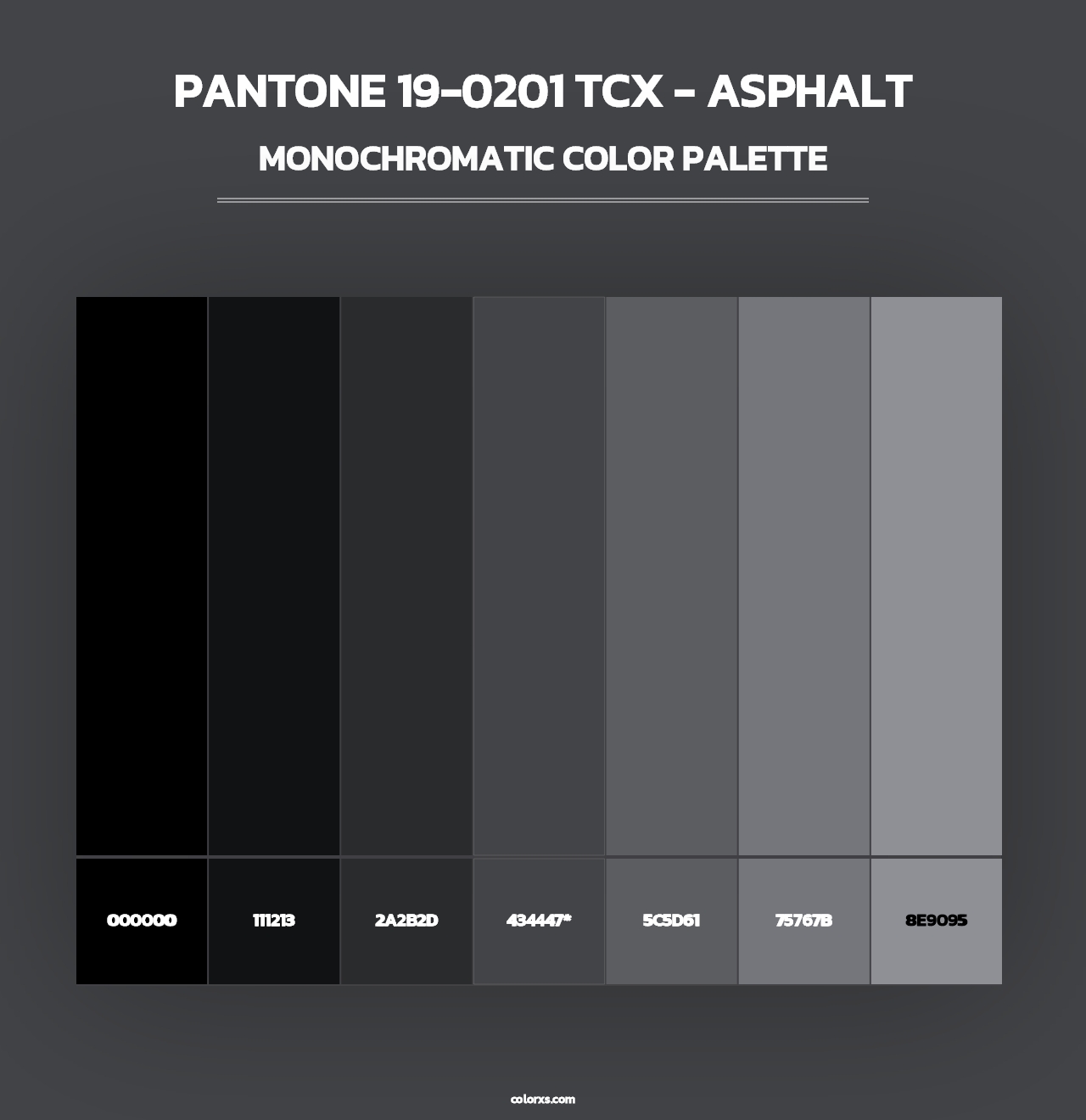 PANTONE 19-0201 TCX - Asphalt - Monochromatic Color Palette