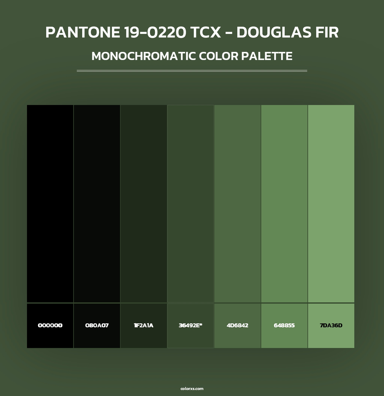 PANTONE 19-0220 TCX - Douglas Fir - Monochromatic Color Palette