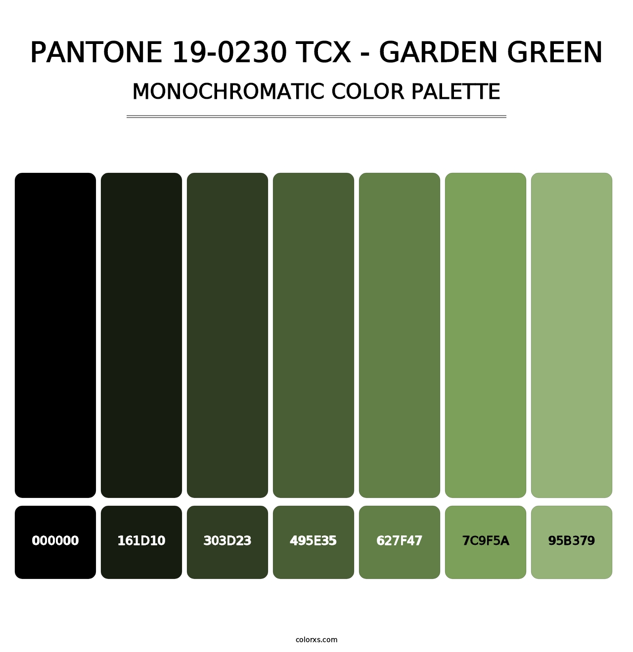 PANTONE 19-0230 TCX - Garden Green - Monochromatic Color Palette