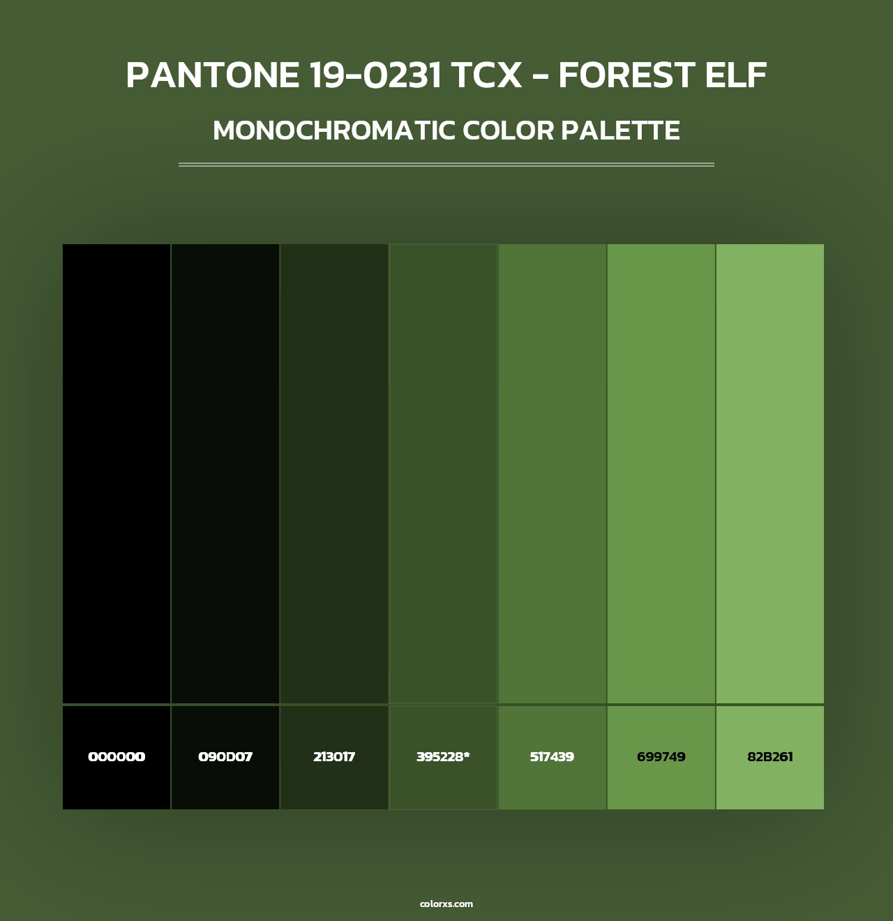 PANTONE 19-0231 TCX - Forest Elf - Monochromatic Color Palette