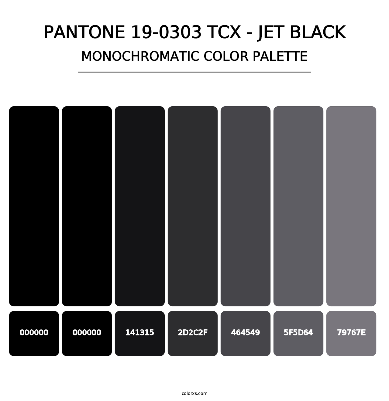 PANTONE 19-0303 TCX - Jet Black - Monochromatic Color Palette