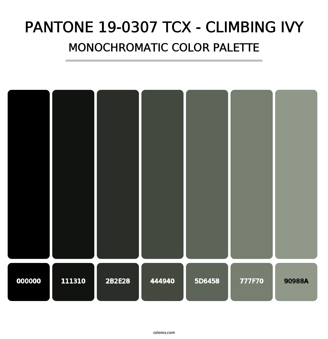 PANTONE 19-0307 TCX - Climbing Ivy - Monochromatic Color Palette